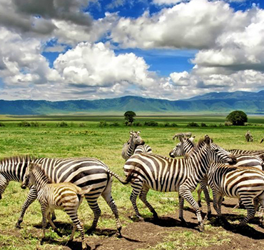 3 days ngorongoro crater