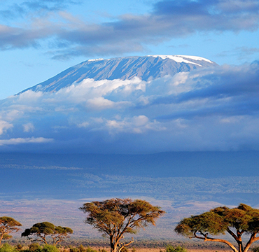 kilimanjaro